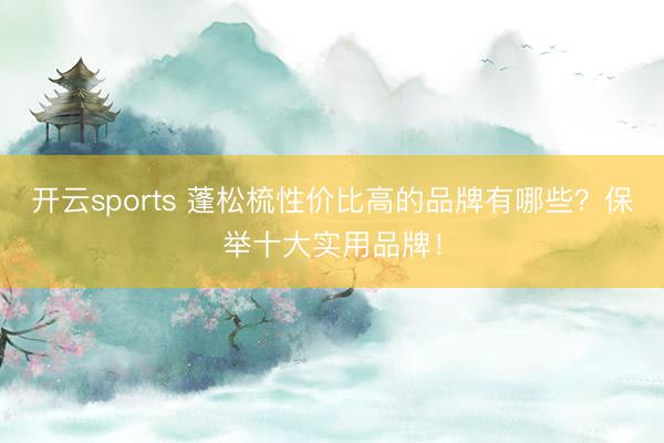 开云sports 蓬松梳性价比高的品牌有哪些？保举十大实用品牌！