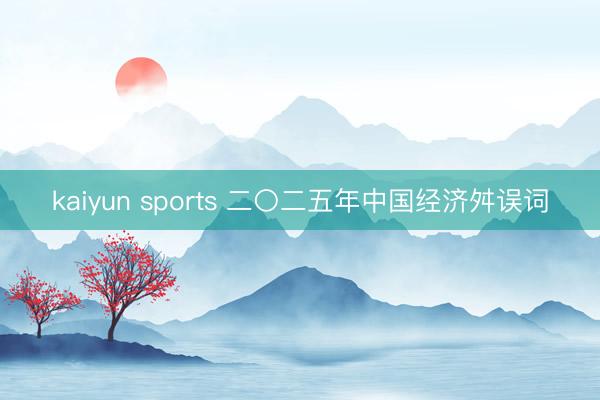 kaiyun sports 二〇二五年中国经济舛误词